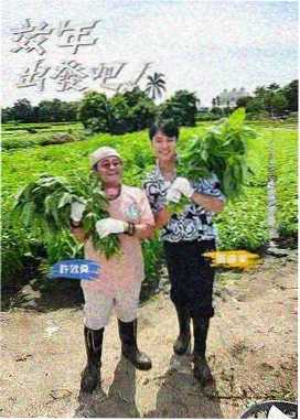 综艺一起去露营剧照